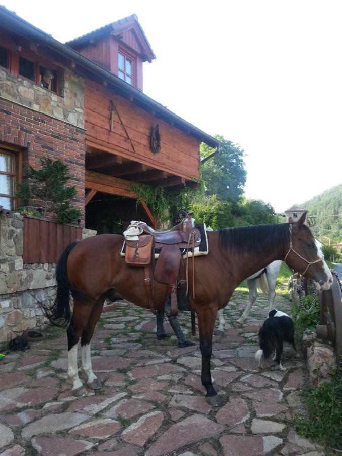 Ubytovani Steak-Hredle Hotel Exterior photo